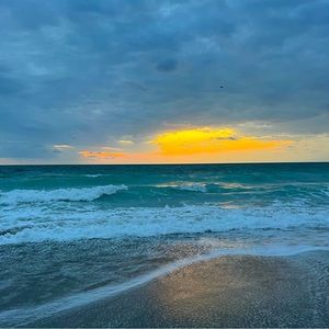 Meet your Posher, Joy